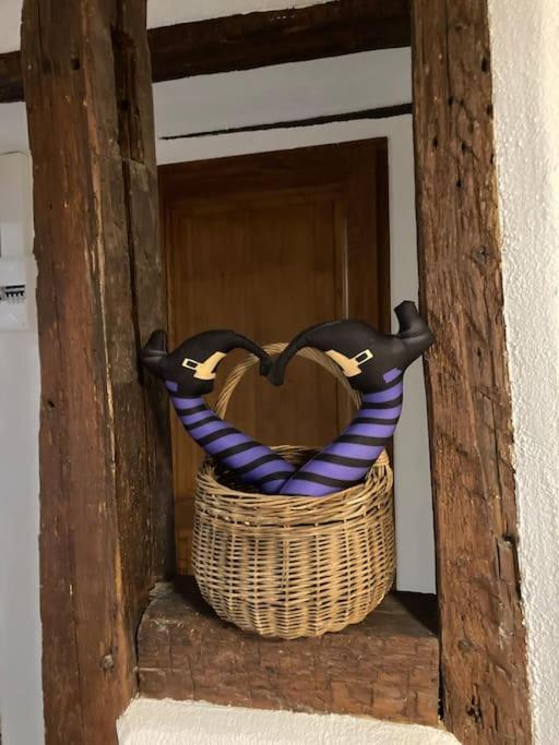 La Sorciere In A Typical Alsatian House Lejlighed Rouffach Eksteriør billede